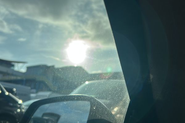 f49608de-9dce-4c58-a88d-c4cddba3f9324A363C21-F7E0-6B31-2424-47B21E535A5A.jpg